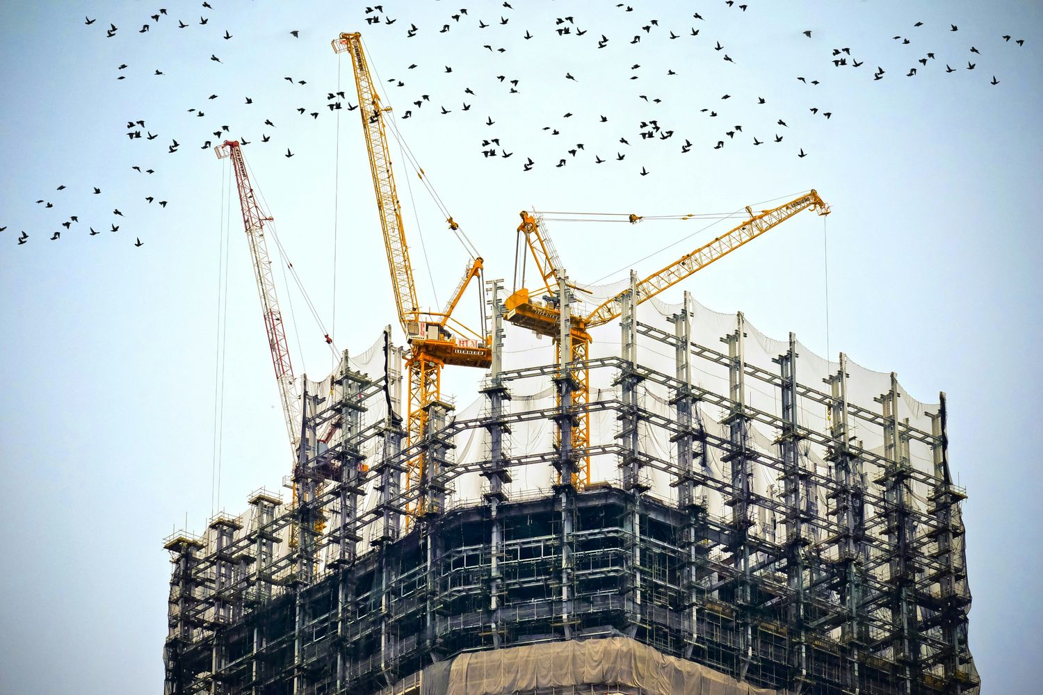 Construction and Real Estate (CRE)
