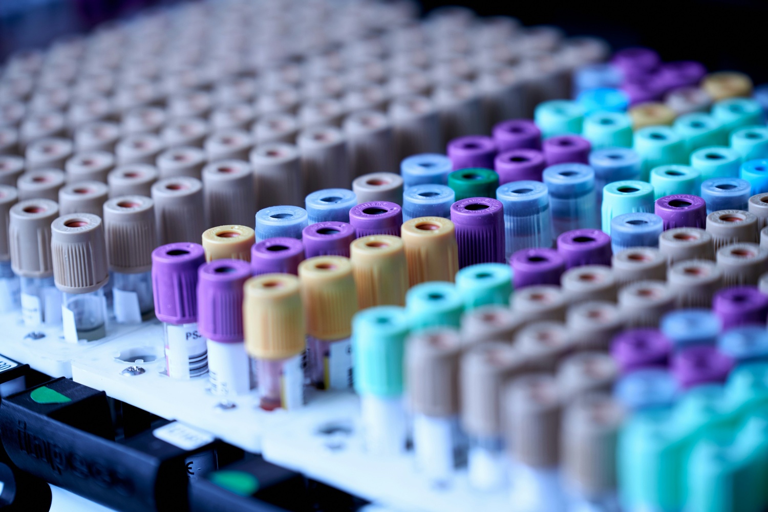 Healthcare_CDDODDandvaluecreationplanforaregionalPEfundforacquisitionofclinicallabsinKSAandUAE