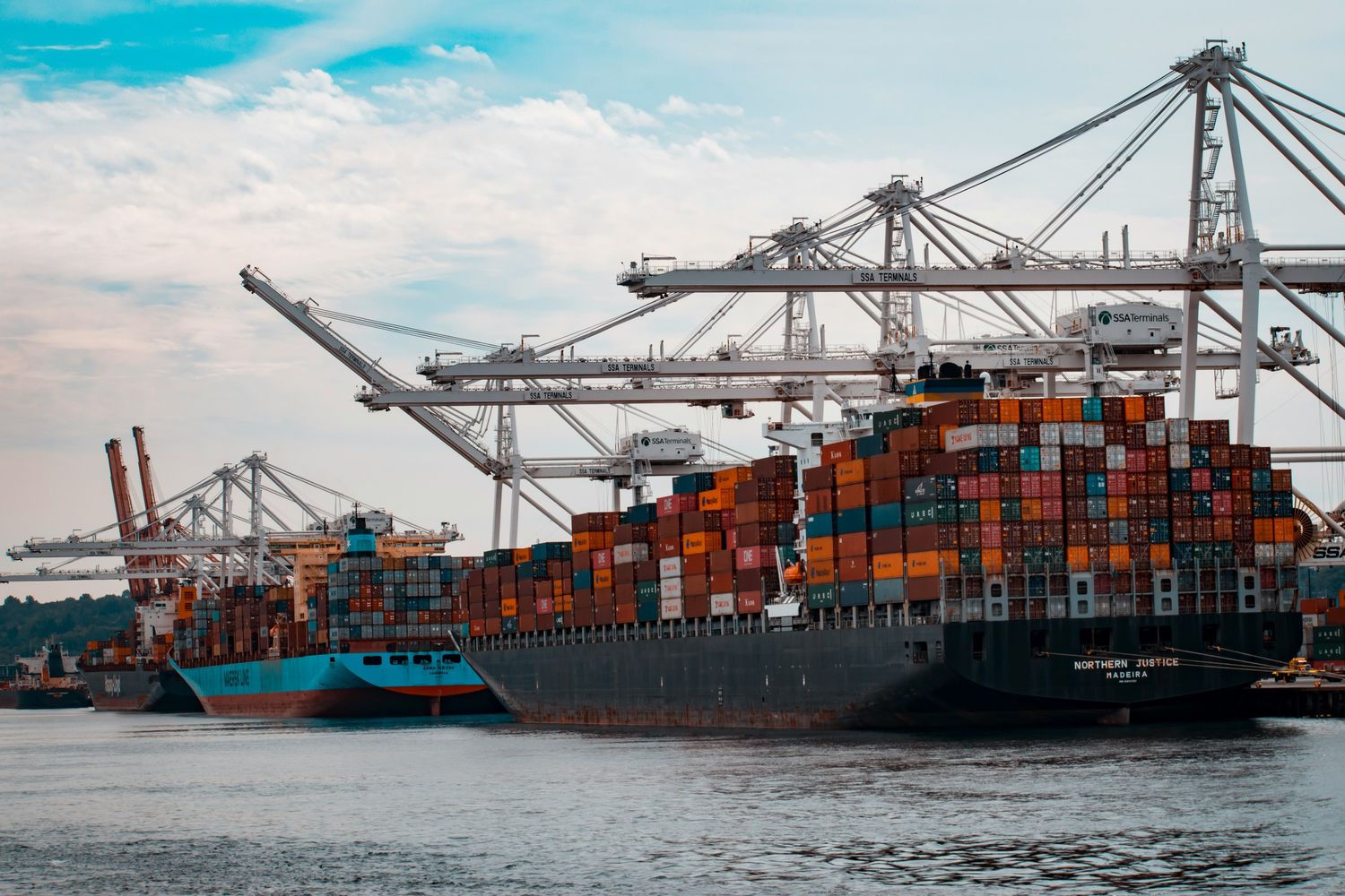 Investors and Export Agencies