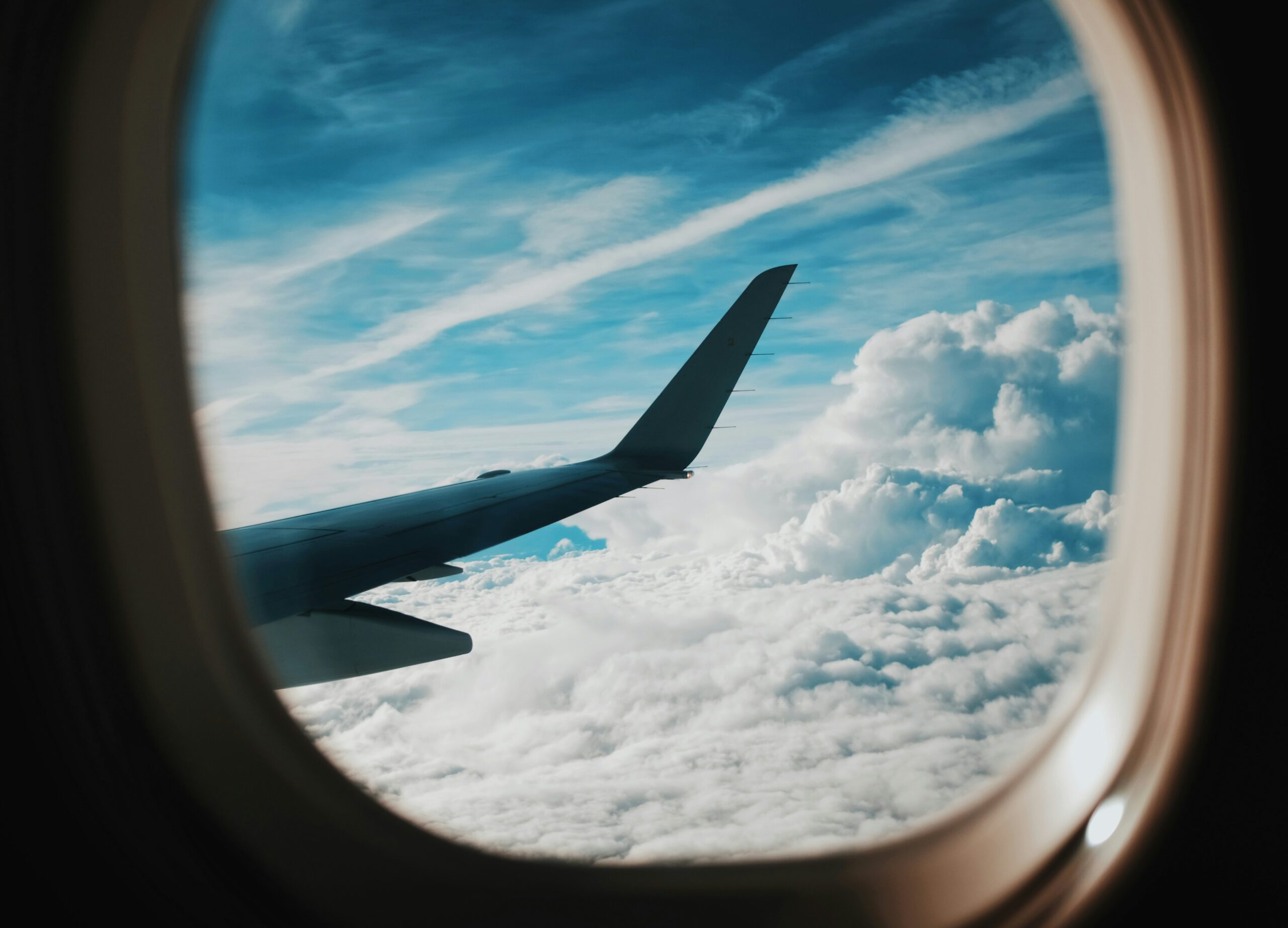 Transportation_Logistics_Conducted CDD and ODD on a national carrier for acquisition by a conglomerate